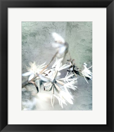 Framed Autumn Foliage 2 Print