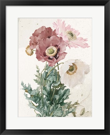 Framed Vintage Flower Print