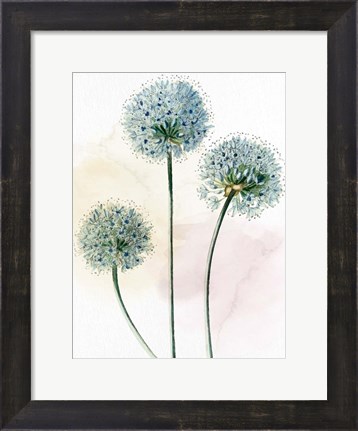 Framed Watercolor Dandelion Print