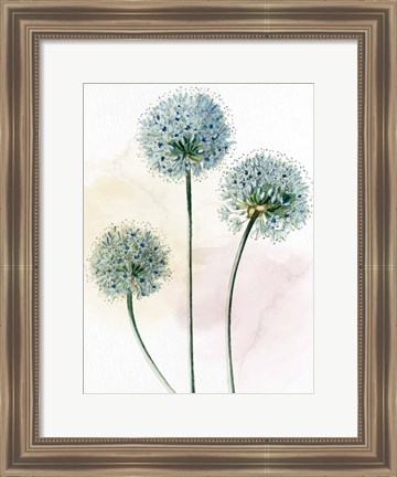 Framed Watercolor Dandelion Print