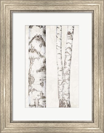 Framed Birches 2 Print