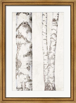 Framed Birches 2 Print