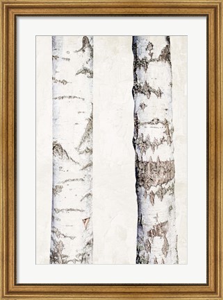 Framed Birches 3 Print