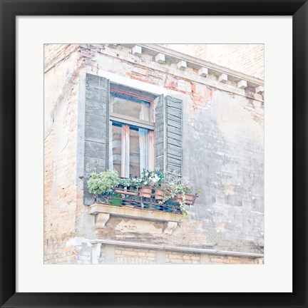 Framed Window BoxWindow Box Print