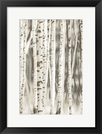 Framed Birches 2 Print