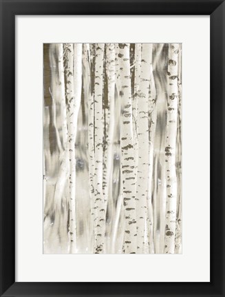 Framed Birches 3 Print