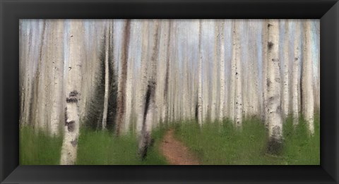 Framed Path through the Aspens Print