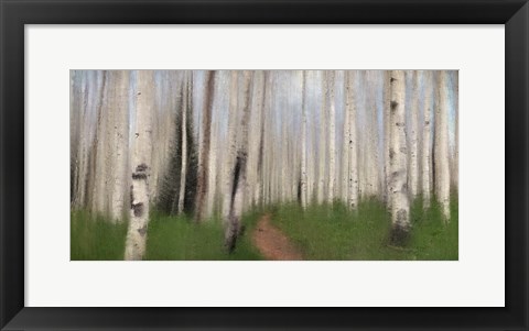 Framed Path through the Aspens Print