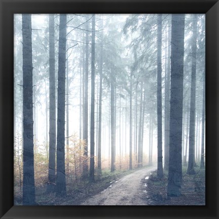 Framed Forest Road Print