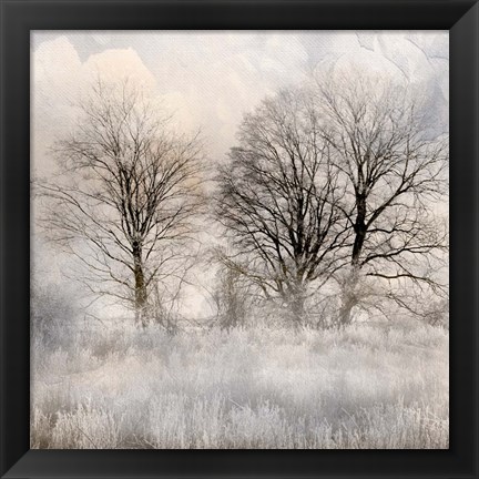 Framed Winter Frost 1 Print