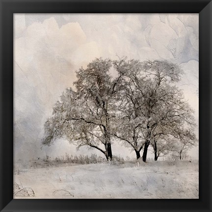 Framed Winter Frost 2 Print