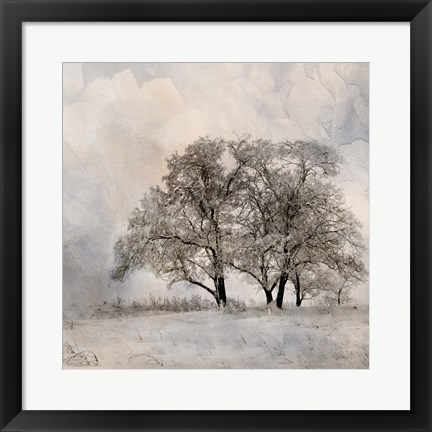 Framed Winter Frost 2 Print