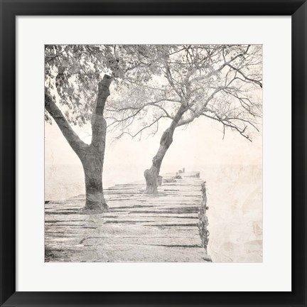 Framed Tree Pier Print