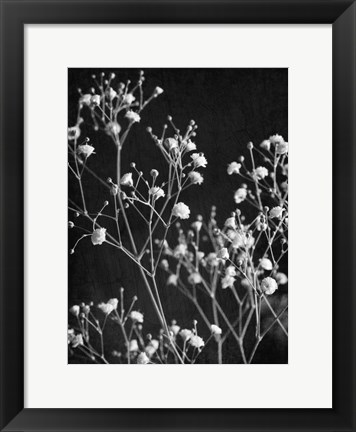 Framed Delicate 2 Print