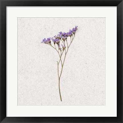 Framed Dainty Purple 3 Print