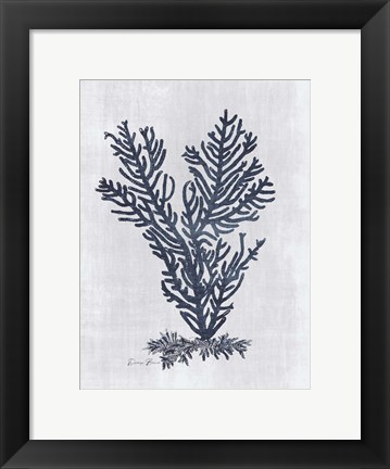 Framed Sea Fan 2 v2 Print