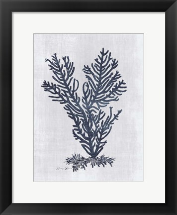 Framed Sea Fan 2 v2 Print