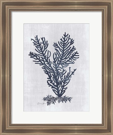 Framed Sea Fan 2 v2 Print