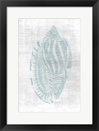 Framed Beautiful Shells 1 Print