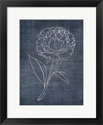 Framed White Peony on Navy 1 Print