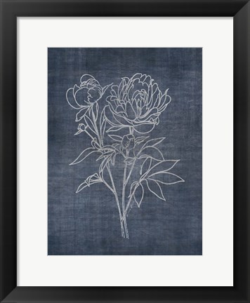 Framed White Peony on Navy 2 Print