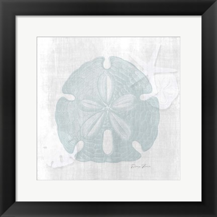 Framed Sand Dollar 1 Print