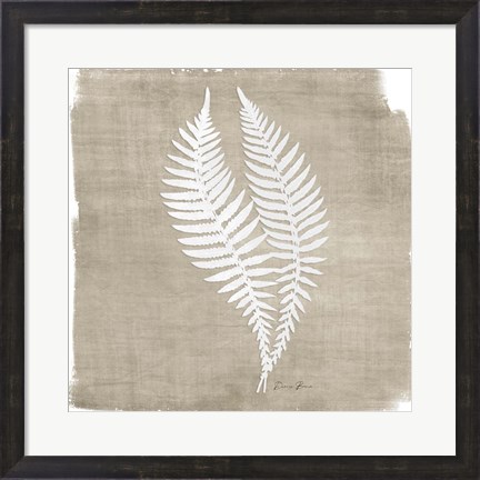 Framed Natures Fern 2 Print