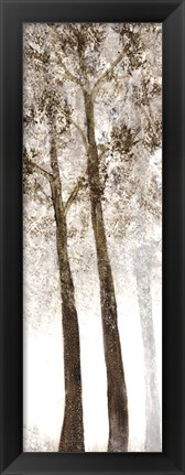 Framed Wooded Grove 2 Print