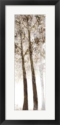 Framed Wooded Grove 2 Print