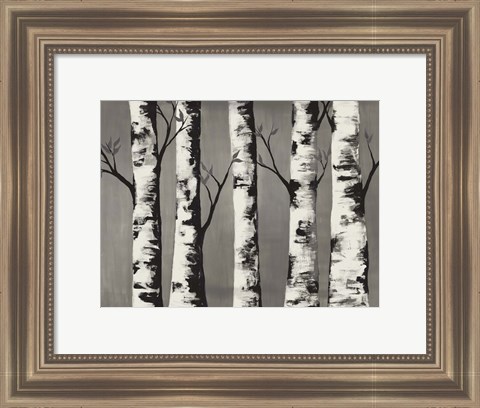 Framed Birch Backwoods Print