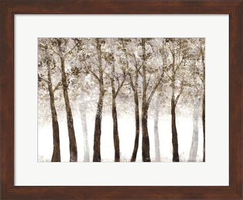 Framed Wooded Grove Print