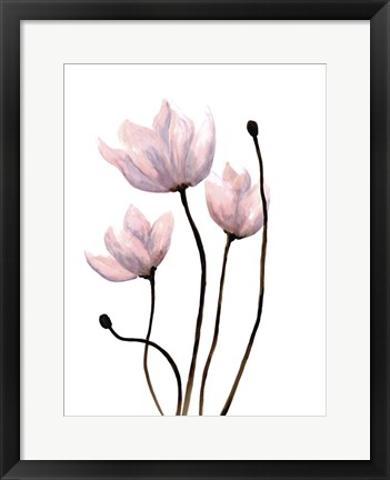 Framed Fresh Growth 1 Print