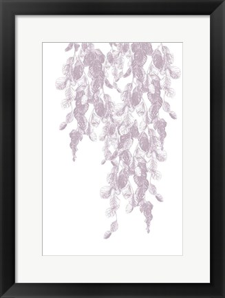 Framed Weeping Willow Mauve Splash 1 Print