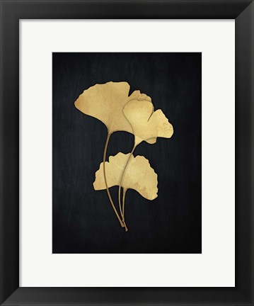 Framed Midas Ginkgo 2 Print