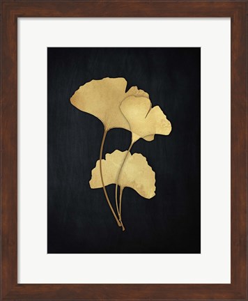 Framed Midas Ginkgo 2 Print