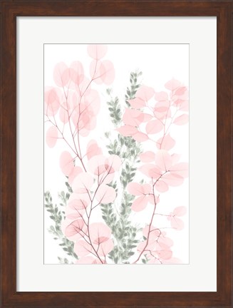 Framed Blushing Bouquet 2 Print