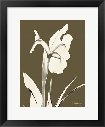 Framed Iris Fall Print