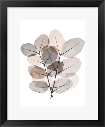 Framed Earth Tone  Bunch Print