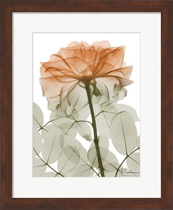 Framed Urban Jungle Rose 2 Print