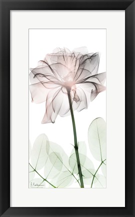 Framed Loving Rose 2 Print