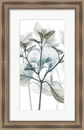 Framed Sea Breeze Pleasures 1 Print