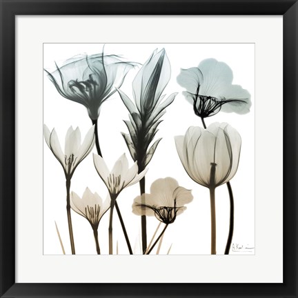 Framed Sandy Floral Cluster 1 Print