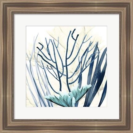 Framed Ocean Floor Life 2 Print