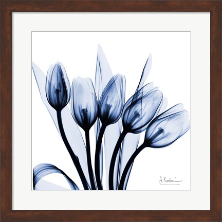 Framed Marvelous Indigo Tulips Print