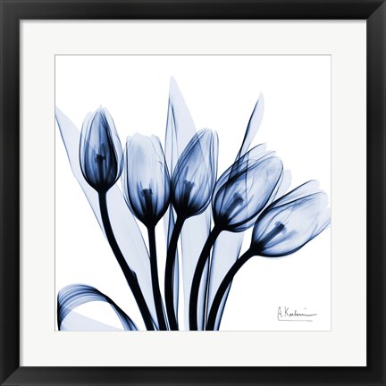 Framed Marvelous Indigo Tulips Print