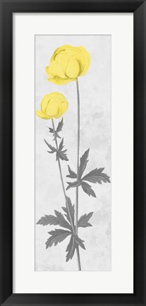 Framed Shinning Bloom Print