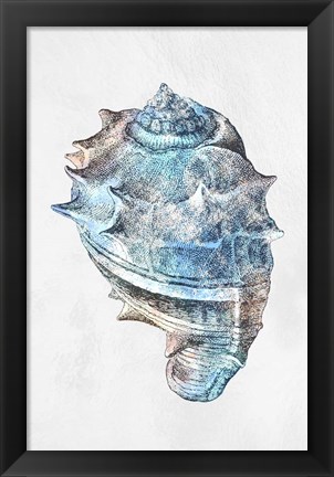 Framed Urban Sea Shell 2 Print