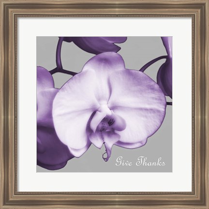 Framed Thankful Orchids Print