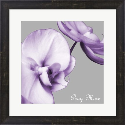 Framed Praying Orchids Print