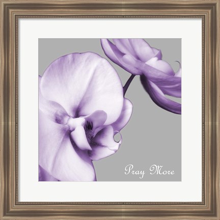 Framed Praying Orchids Print